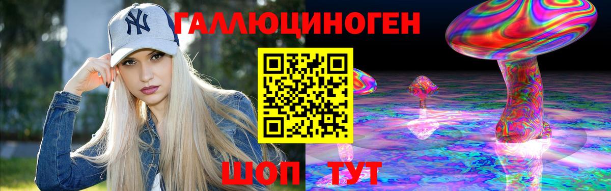Галлюциногенные грибы Psilocybe Знаменск